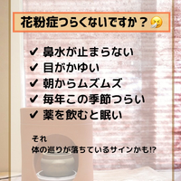 画像273
