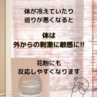 画像274