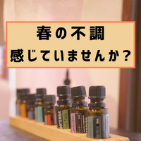 画像283