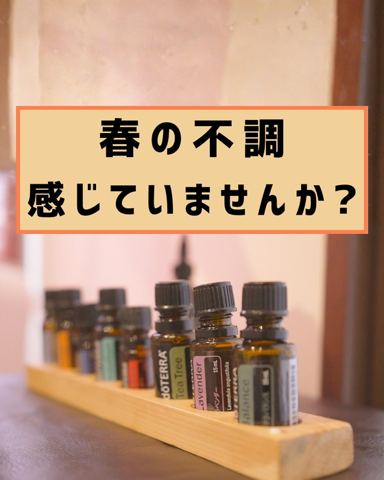 画像283