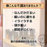 画像284