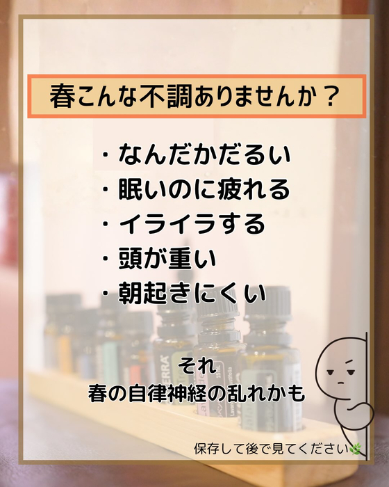 画像284
