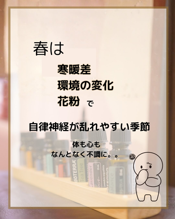 画像285