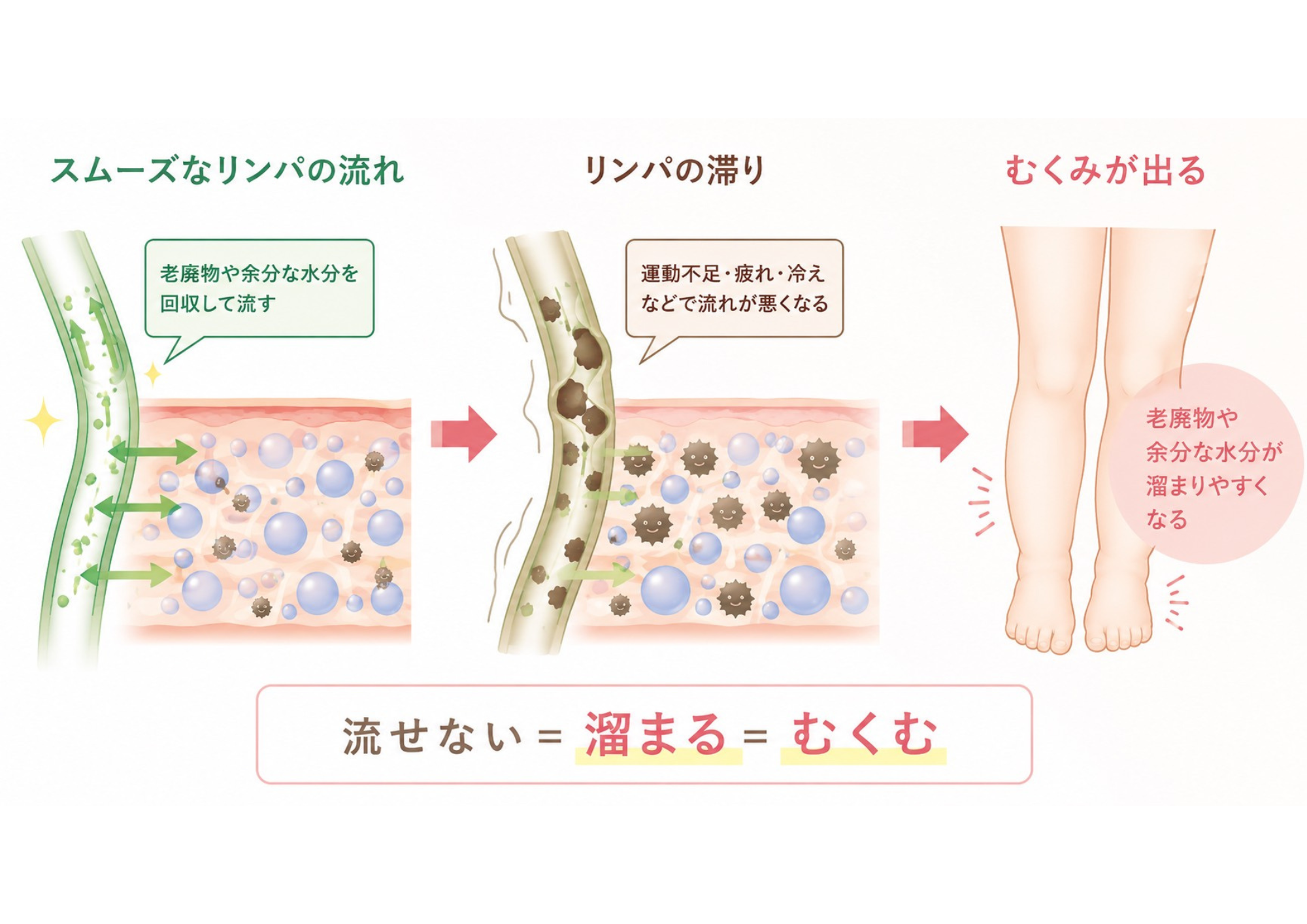② リンパの滞り